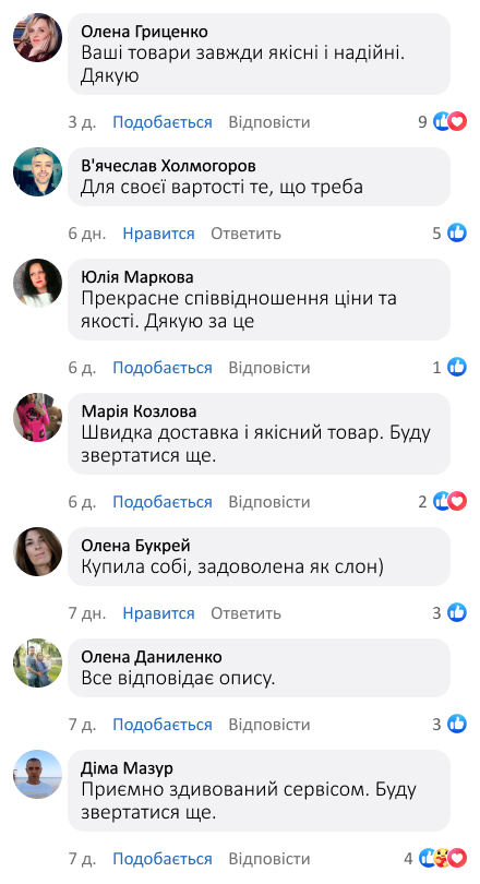Миючий пилосос Domotec для килимів, диванів і м’яких меблів