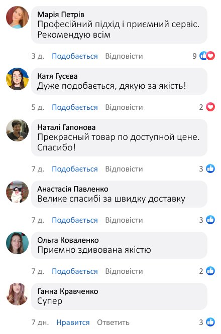 Миючий пилосос Domotec для килимів, диванів і м’яких меблів